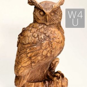 Wood Carving Project Owl
